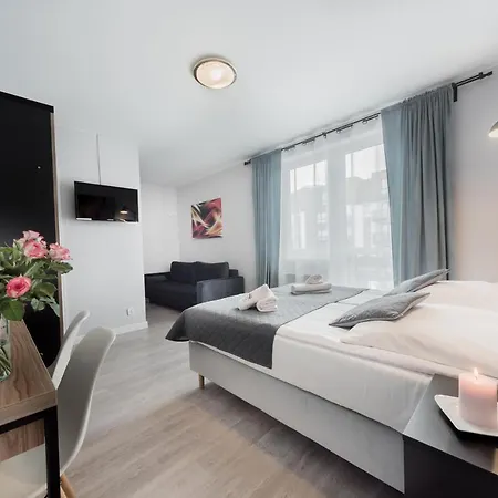 Bluemica Проживание в семье Мендзыздрое