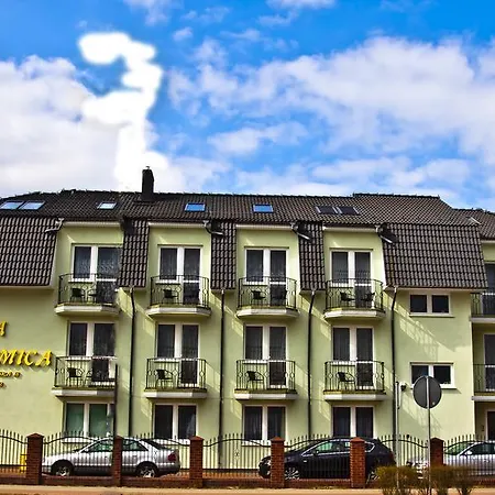 Bluemica Проживание в семье